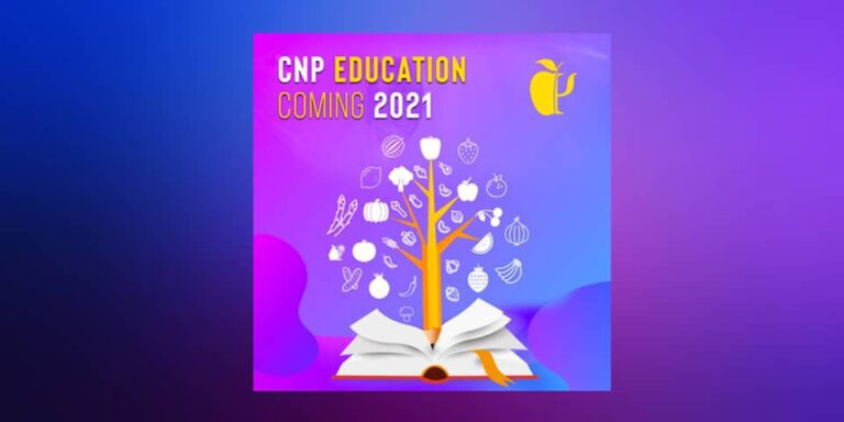 Nutritional Psychology Programs