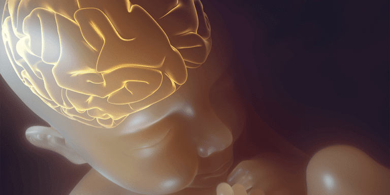 Neurodevelopmental Disorders or NDDs