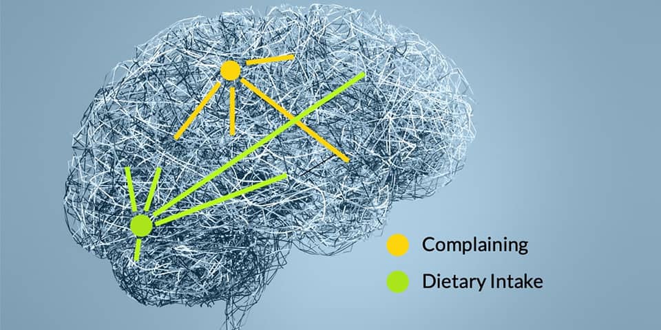 Neuroplasticity, Behavior, and Dietary Intake — Rewiring the Brain for Better or Worse