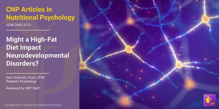 Might a High-Fat Diet Impact Neurodevelopmental Disorders?