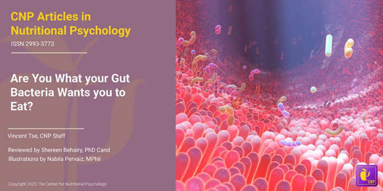 Diet-Mental Health Relationship