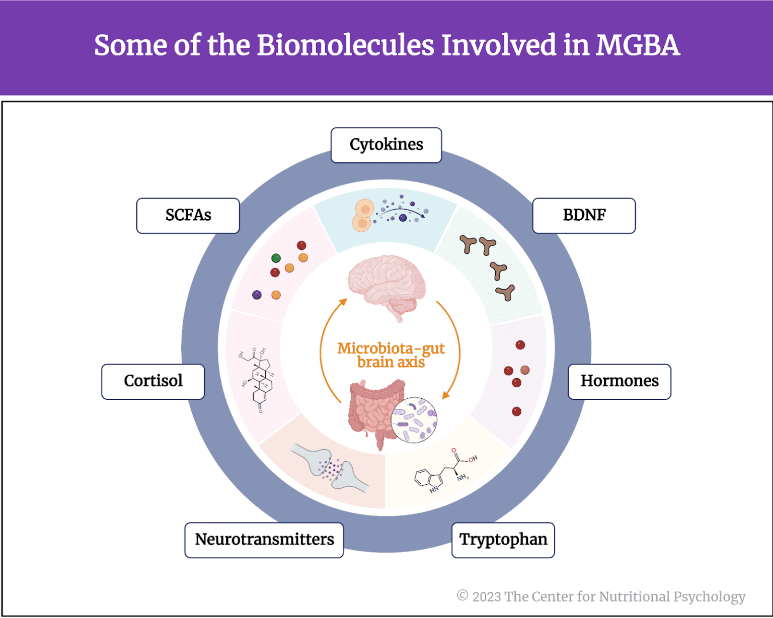 Gut Microbiota's Role in Mental Health: The Positives and Negatives