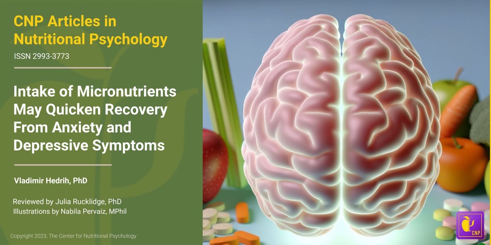 Intake of Micronutrients May Quicken Recovery From Anxiety and Depressive Symptoms
