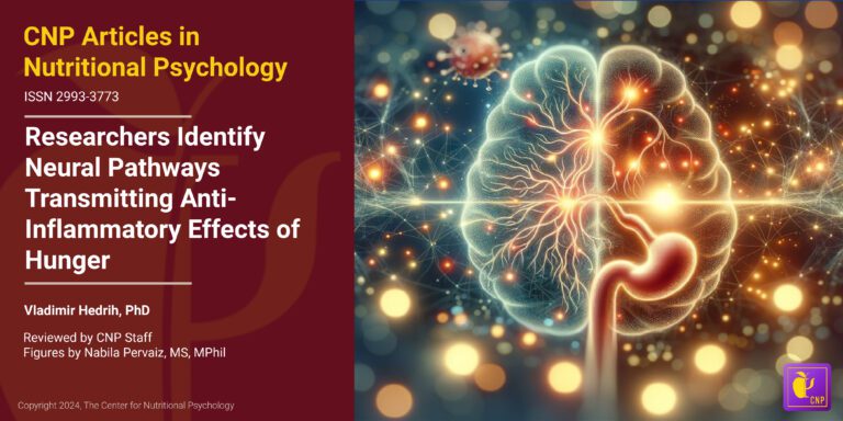 Researchers Identify Neural Pathways Transmitting Anti-Inflammatory Effects of Hunger