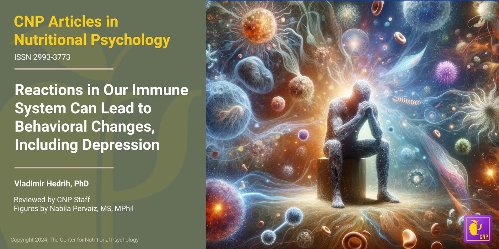 Reactions in Our Immune System Can Lead to Behavioral Changes, Including Depression