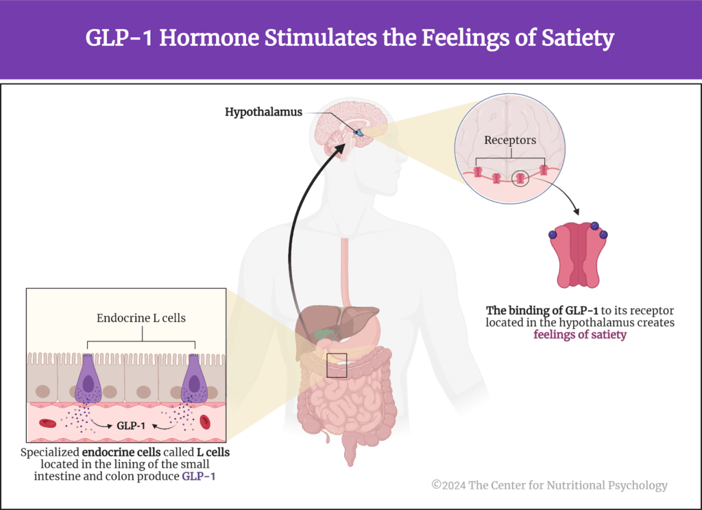 Obesity satiety hormone - frankenthalerfoundation.org