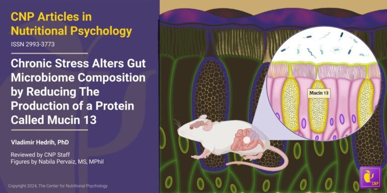 Chronic Stress Alters Gut Microbiome Composition by Reducing The Production of a Protein Called Mucin 13