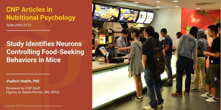 Neurons Controlling Food-Seeking Behaviors in Mice
