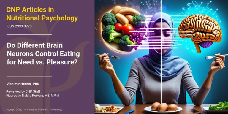 Do Different Brain Neurons Control Eating for Need vs. Pleasure?