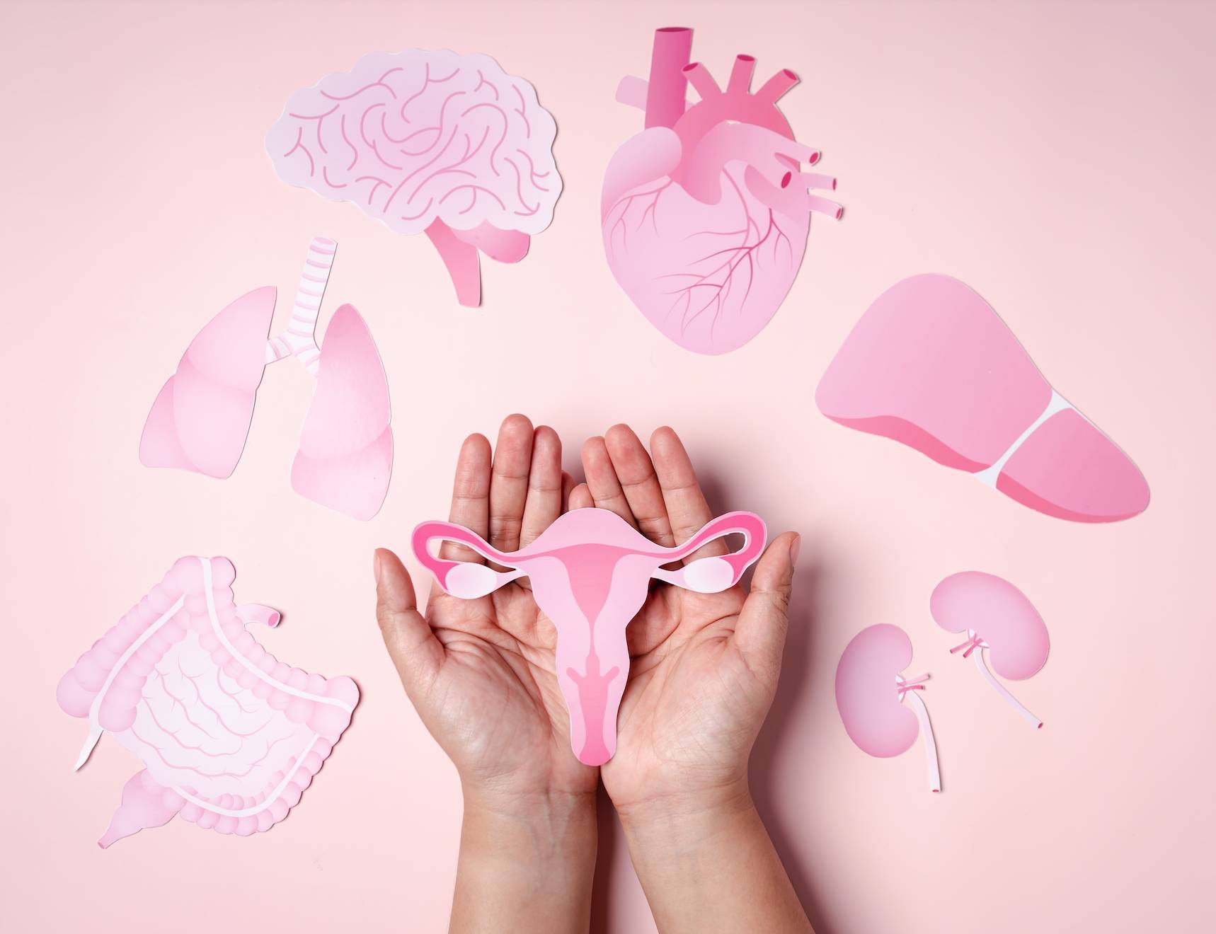 Female Reproductive Health and DMHR