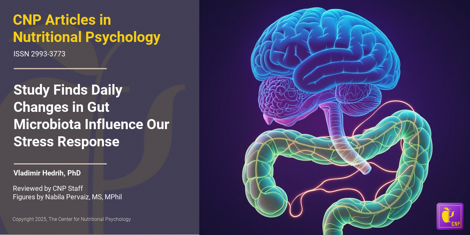 Study Finds Daily Changes in Gut Microbiota Influence Our Stress Response